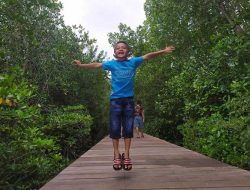 Serunya liburan di Ekowisata Mangrove Perancak Bali