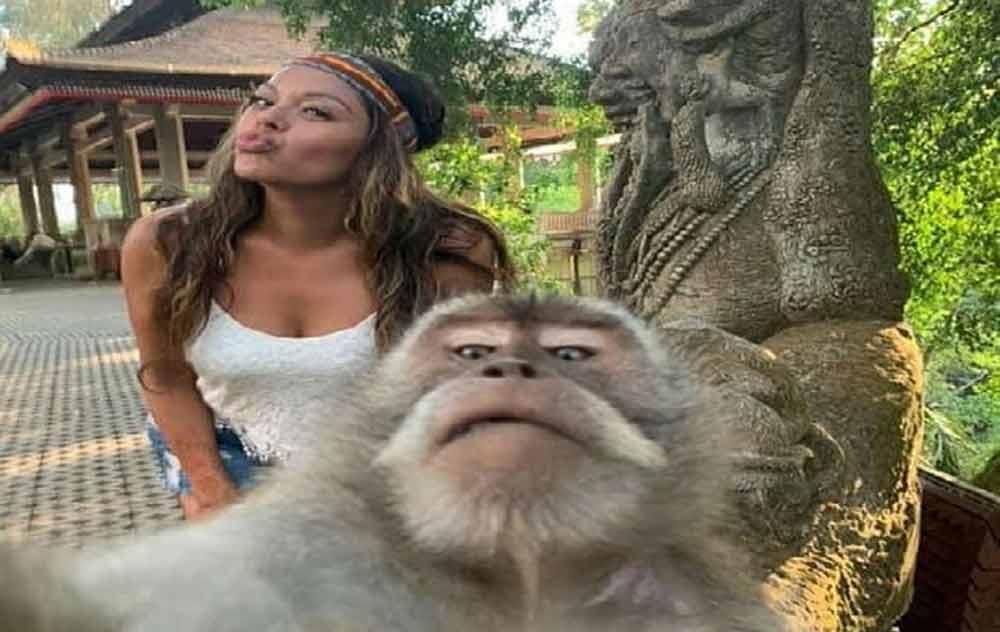 Harga Tiket Monkey Forest Ubud Turun hingga 50%