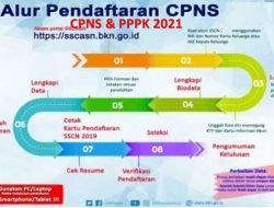 Alur dan Tahapan pendaftaran CPNS & PPPK 2021 Yang Harus di Perhatikan