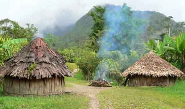 7 Fakta Keunikan dan Jenis Rumah adat Papua, Simak Lengkapnya