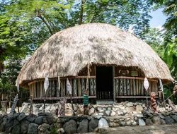 7 Fakta Keunikan dan Jenis Rumah adat Papua, Simak Lengkapnya