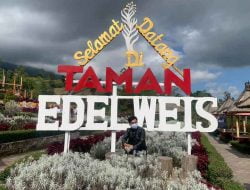 Tempat Wisata Taman Edelweis, Objek wisata instagramable di Bali