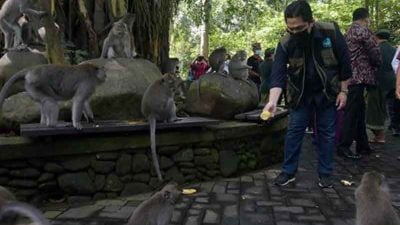 3 pengelola DTW Monkey Forest di Bali terima bantuan dari Kementerian Badan Usaha Milik Negara (BUMN) sebesar Rp 450 juta