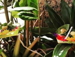 Filosofi Tumpek Pengatag atau Tumpek Uduh di Bali