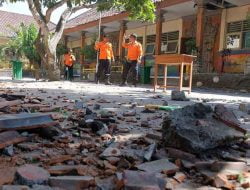 Gempa Guncang Bali Saat Perayaan Hari Suci Tumpek Uduh, Ini Artinya
