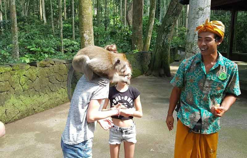 3 Hal Menarik yang bisa dilakukan di Sangeh Monkey Forest