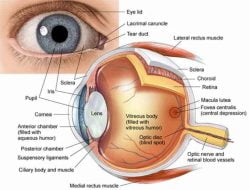 Cara Menjaga Kesehatan Mata Yang Baik