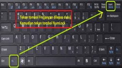 Penyebab Keyboard Laptop Tidak Berfungsi Dan Cara Praktis Mengatasinya