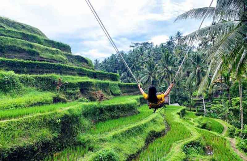 Destinasi Wisata Bali Ayunan Hits di Ubud