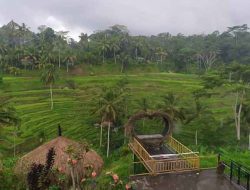 Daya tarik Sawah Bertingkat Tegalalang di Bali