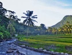 Desa Wisata Sudaji, Desa Tua Sebagai Tempat Healing di Bali
