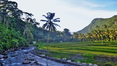 Desa Wisata Sudaji, Desa Tua Sebagai Tempat Healing di Bali