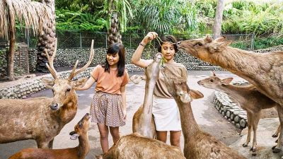 Liburan keluarga ke Bali – Top Tempat wisata yang terjangkau