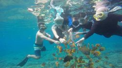 Snorkeling Tanjung Benoa – Mengungkap Keindahan Bawah Laut