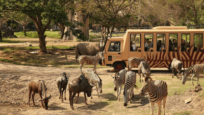 Bali Safari & Marine Park