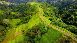 Daya Tarik Campuhan Ridge Walk