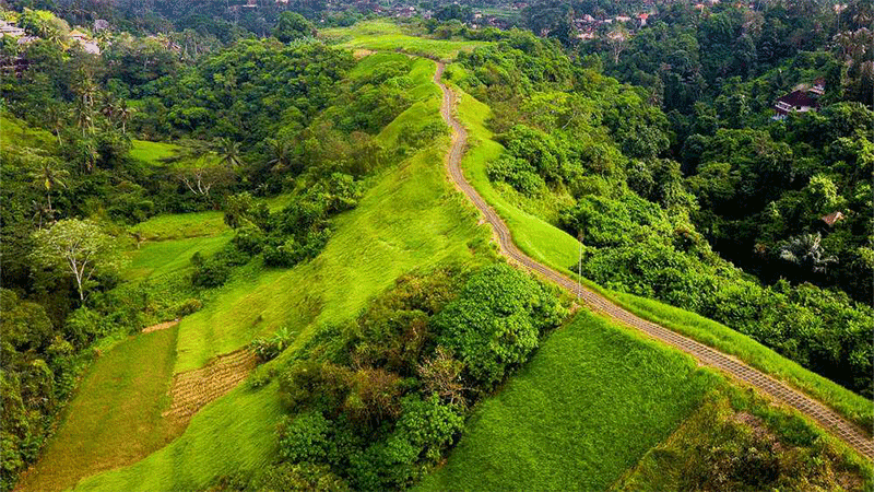 Daya Tarik Campuhan Ridge Walk