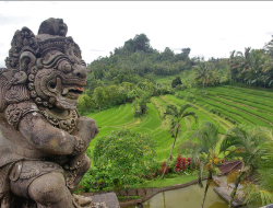 Bukit Jambul Rice Terrace: Lukisan Alam dari Ketinggian Bali Timur
