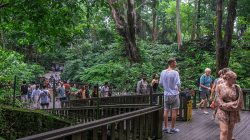 Monkey Forest Ubud: Surga Hutan & Kera Bali