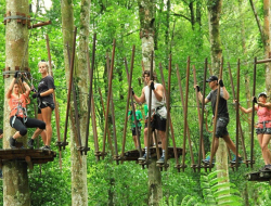 Bali Treetop Adventure: Petualangan Seru di Atas Pepohonan
