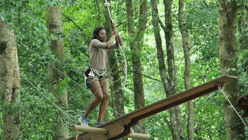Bali Treetop Adventure