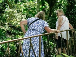Mengenal Kemenuh Monkey River Bali, Wisata Sungai dan Monyet Liar yang Viral