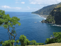 Bukit Asah Bali: Surga Camping dengan Panorama Laut yang Memukau