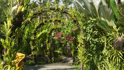 Kemenuh Orchid Garden