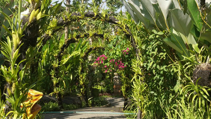 Kemenuh Orchid Garden