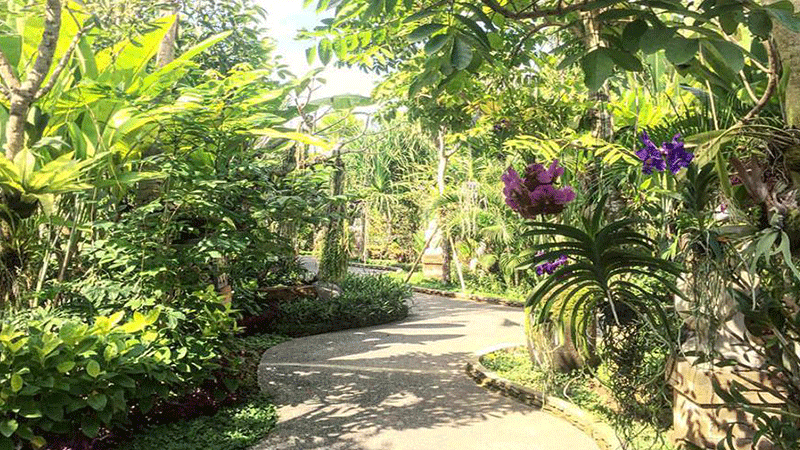 Kemenuh Orchid Garden