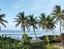 Yeh Leh Beach Bali: Pantai Batu Vulkanik Tersembunyi di Jembrana