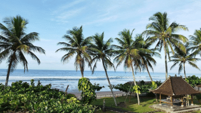 Yeh Leh Bali