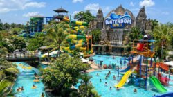 Waterbom Bali: Panduan Lengkap Harga Tiket, Lokasi, dan Wahana Populer di Kuta